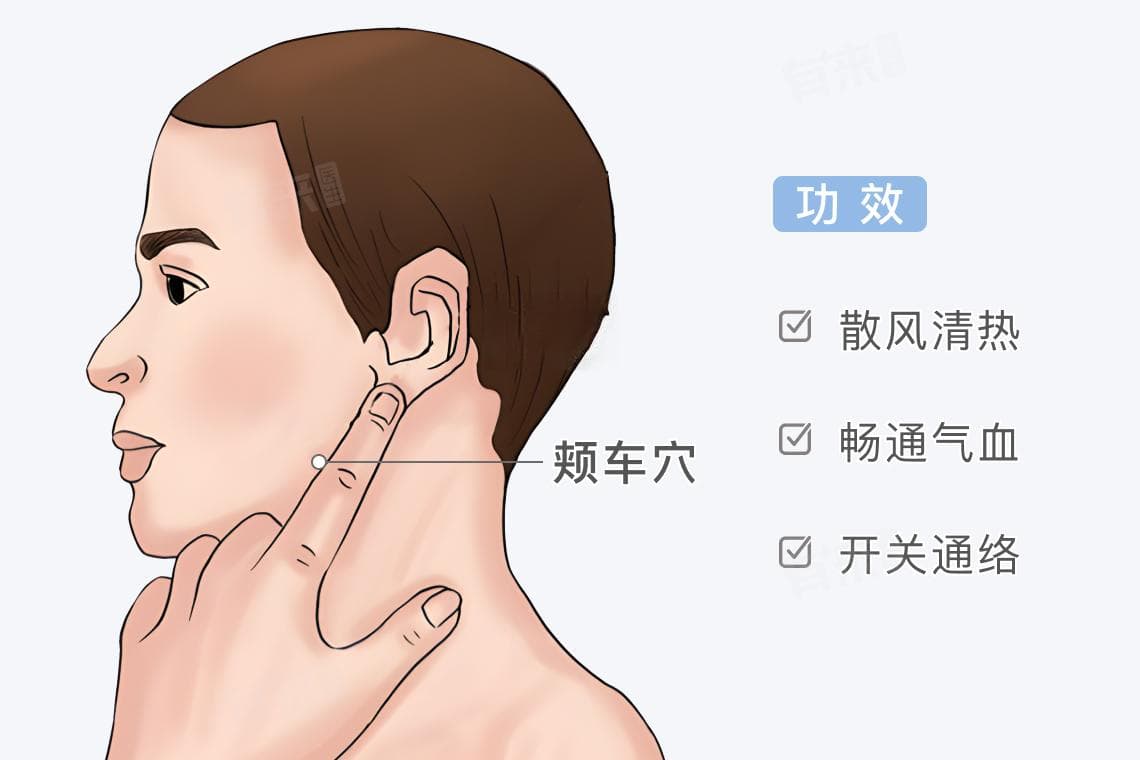 颊车穴的位置和功效
