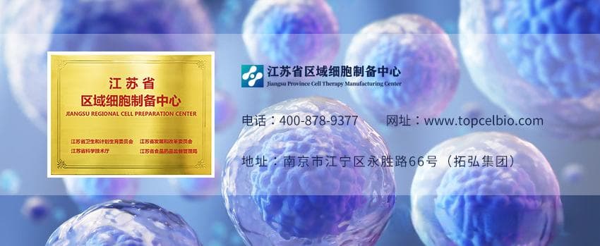 干细胞移植成功修复猴子黄斑孔