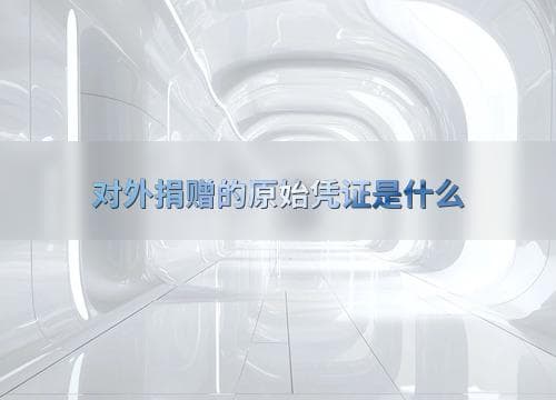 对外捐赠的原始凭证是什么