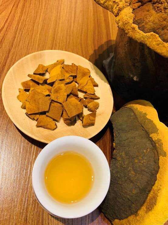 桑黄的药用价值及在现代医学中的应用前景
