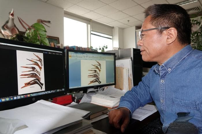 悟空翼龙科添新 中国巴西古生物学家发现1.6亿年前化石新种