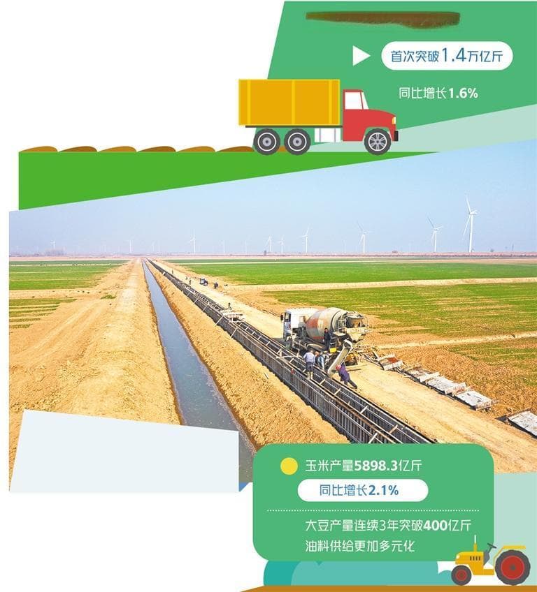 1.4万亿斤 中国饭碗分量更足了