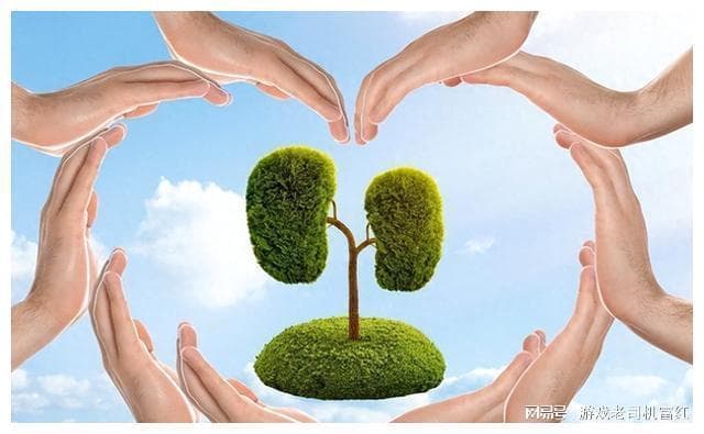 我与伴侣的情感沟通技巧，婚姻中的对话艺术