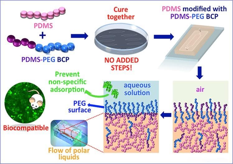 PDMS在微芯片、生物模型等方面的应用，你了解吗？