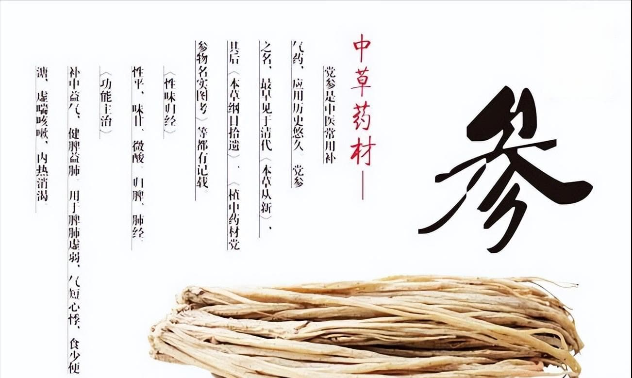 药食同源的补益药党参，生津养血、补脾益肺，保护肠胃