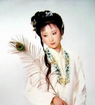 揭秘《红楼梦》：清朝贵族的兴衰史