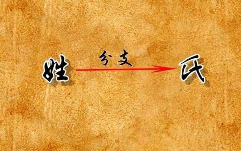 姬姓作为万姓之祖，为何今天姓姬的那么少？