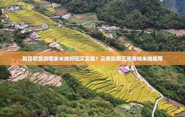 到昆明旅游哪家米线好吃又实惠？云南昆明正宗美味米线推荐