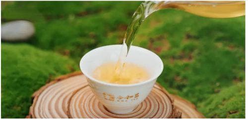 春季养肝，从一杯茶开始