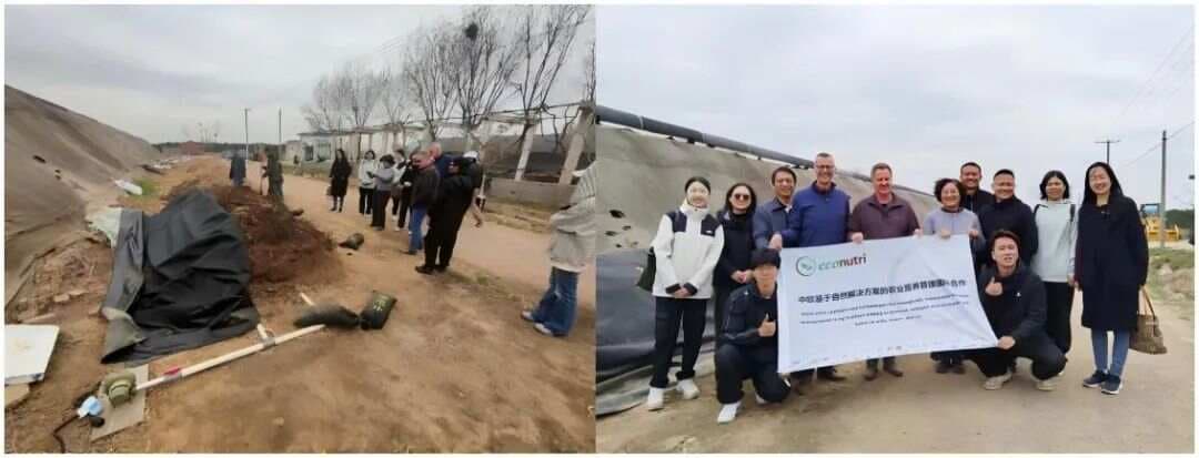 气流膜堆肥技术：蔬菜废弃物处理的创新解决方案