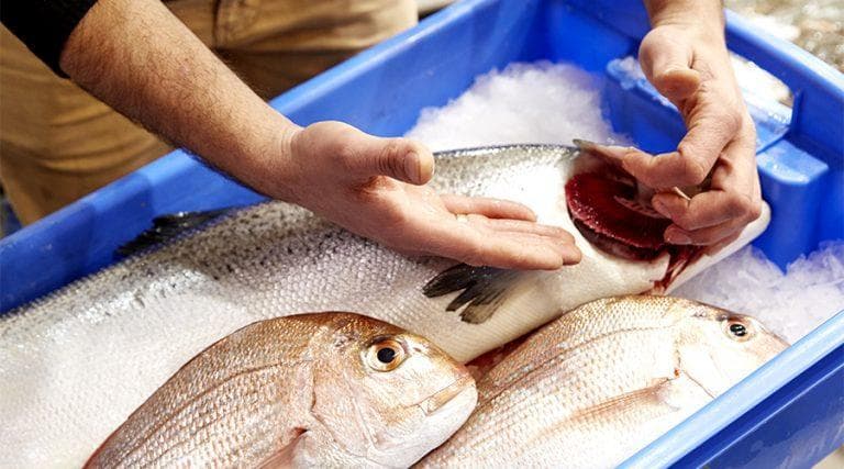 不只是嗅有没有腥味！简单教你「5个小技巧」挑选出最新鲜的鱼！