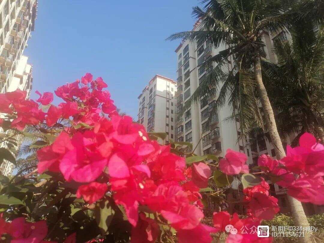 学会包容性思维，摈弃非黑即白的二元思维