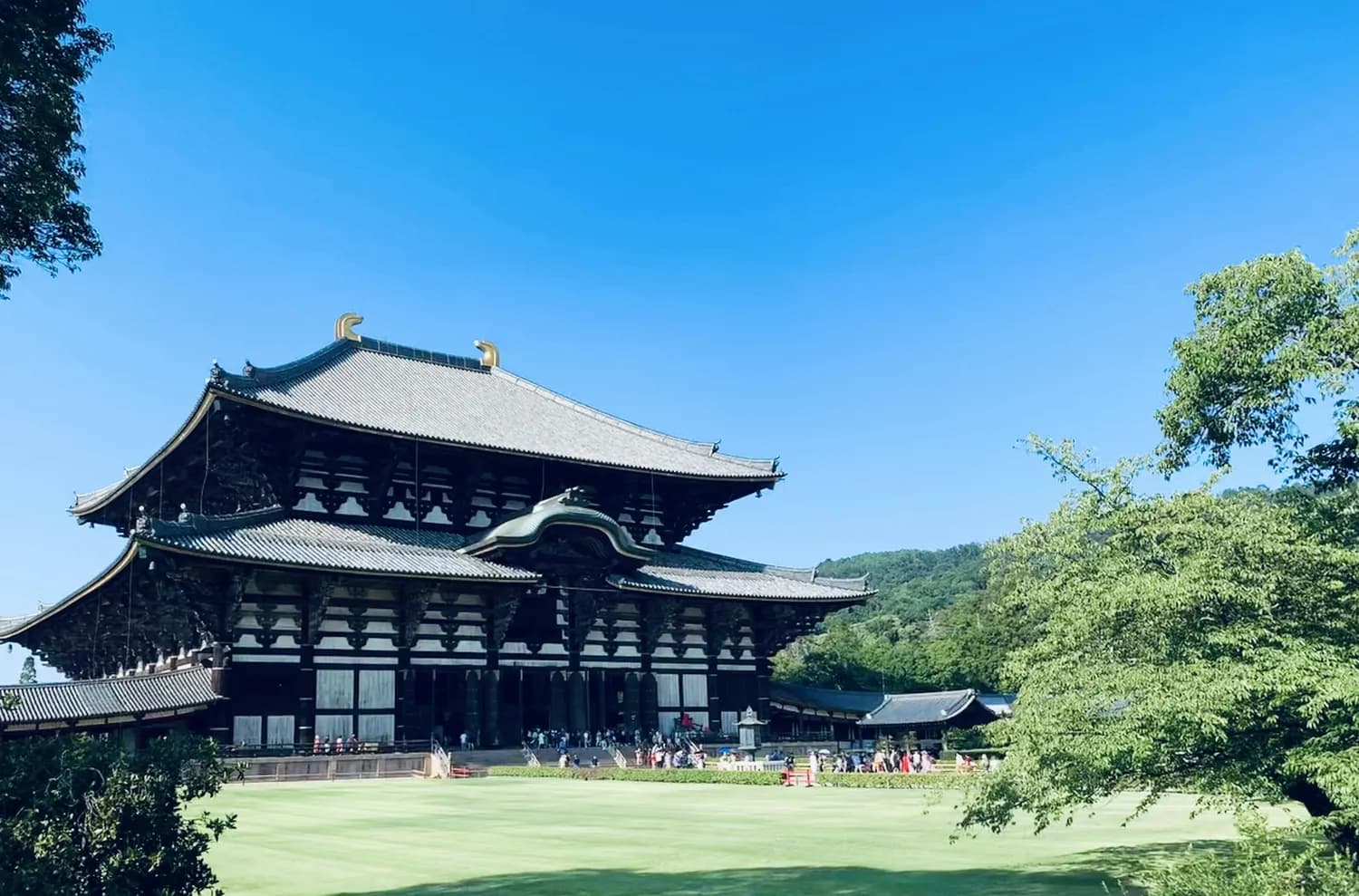 周末打卡拈花湾！上海到无锡一日游攻略
