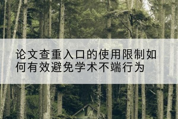 论文查重工具的使用限制与应对策略