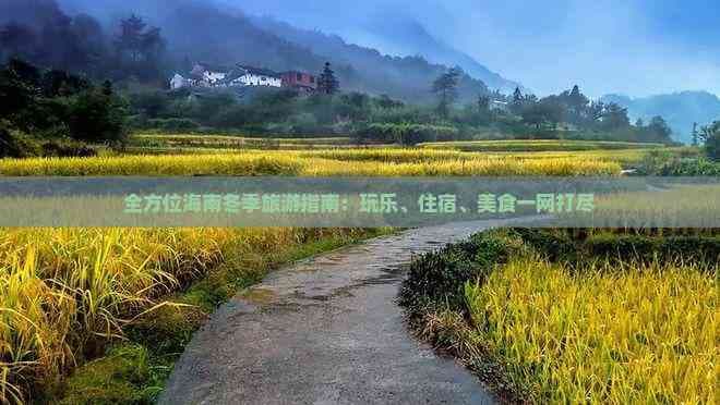 全方位海南冬季旅游指南：玩乐、住宿、美食一网打尽