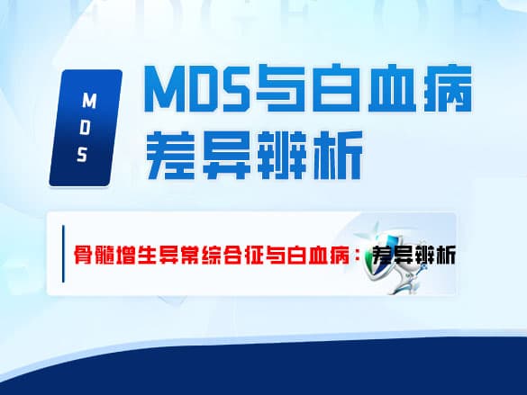 《骨髓增生异常综合征（MDS）与白血病：差异辨析》