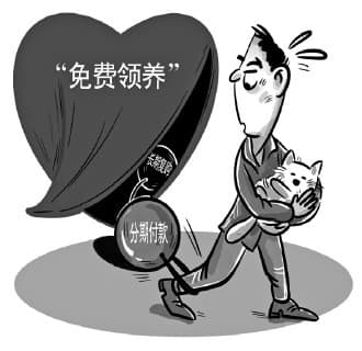 宠物“免费领养”到底是“真公益”还是新营销？