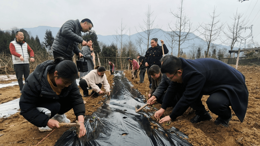 绵阳北川：科学农耕助力乡村振兴