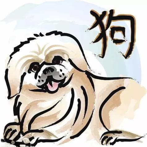 1982年狗年女命2026年运势：事业、感情、财运全面分析