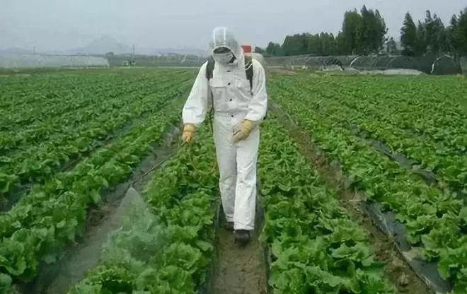 枯草芽孢杆菌使用方法及用量
