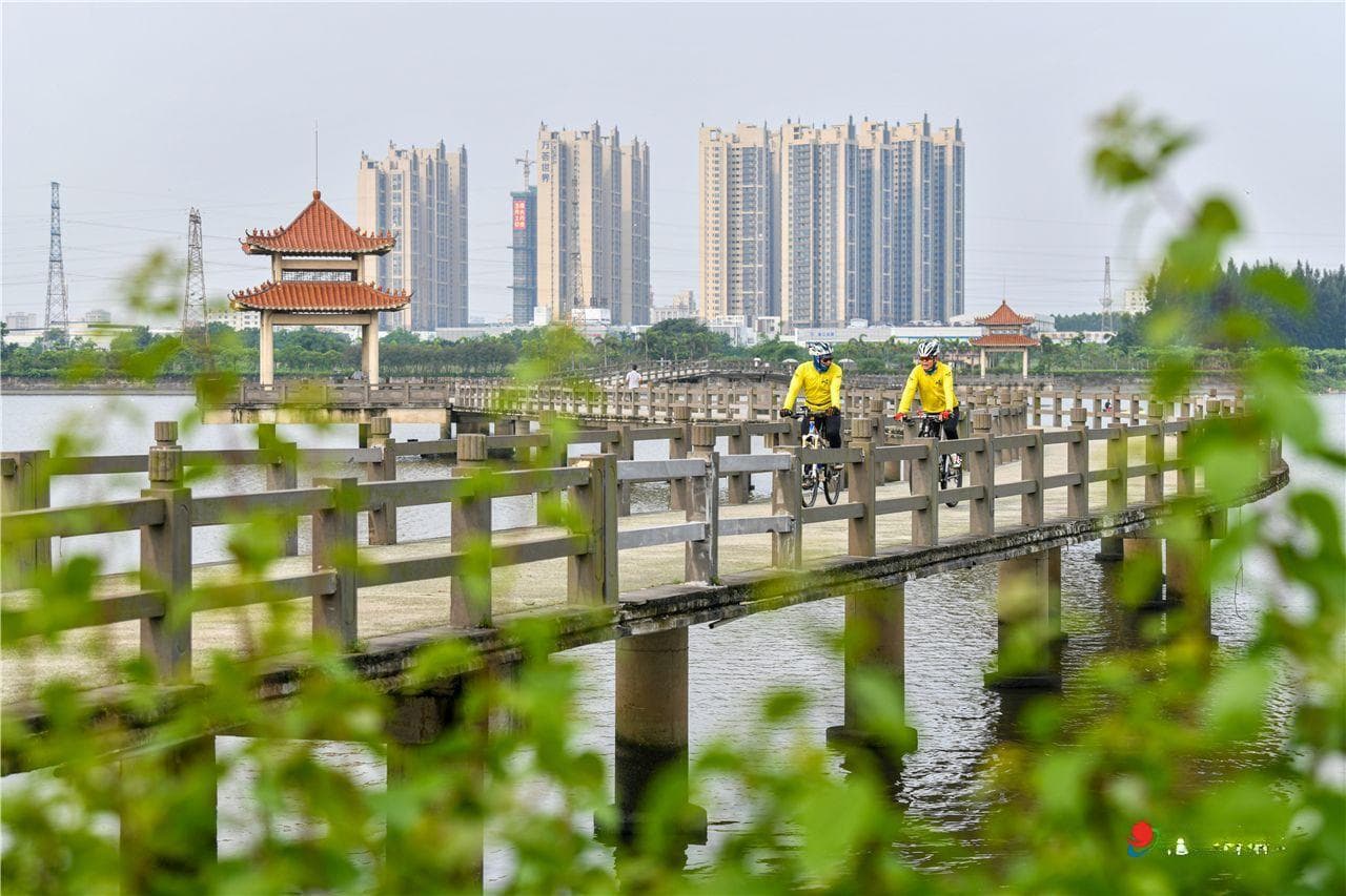 沿着6条骑行路线 追上湛江的秋天