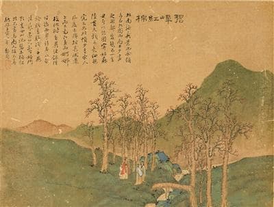 徜徉木棉丹青 尽赏岭南春色