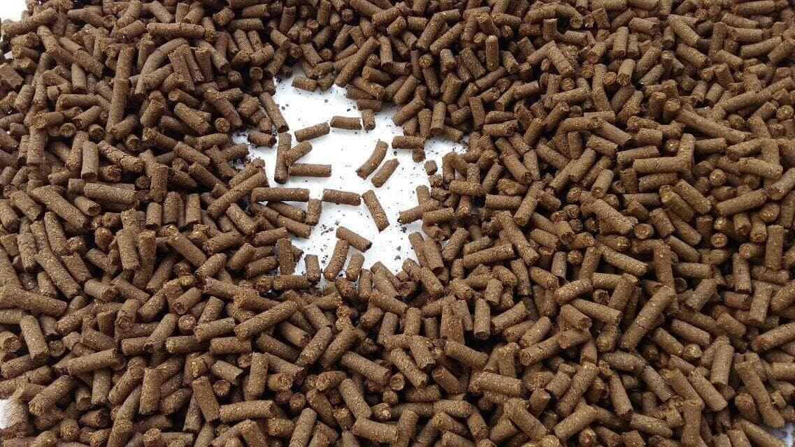 值得一看！饲料配方对猪生长性能的影响及其优化策略