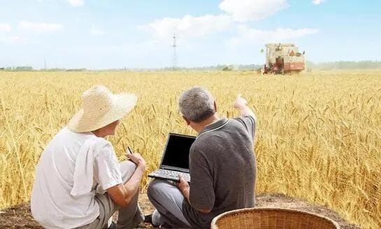 物联网设备管理的最佳实践：确保高效、安全的网络连接