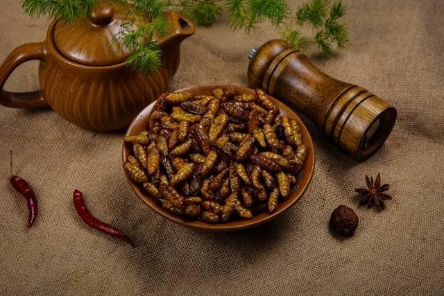 快来尝尝东北独特美食，竟然是用虫做的