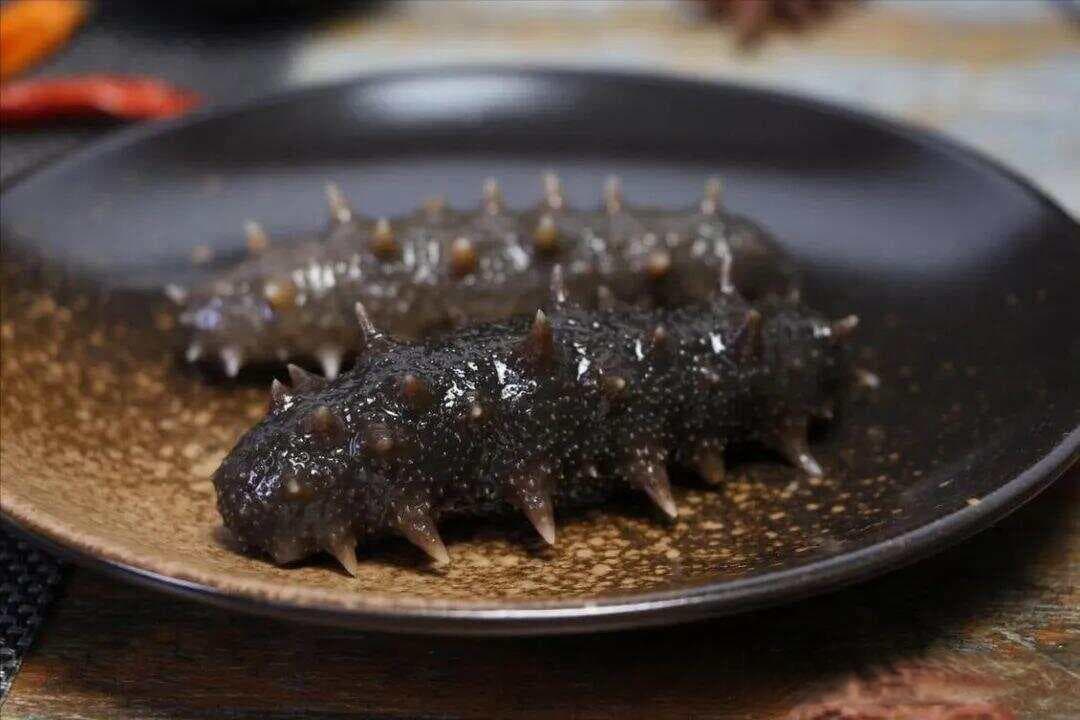中国十大海参产区：从大连到蓬莱，品味海洋珍馐