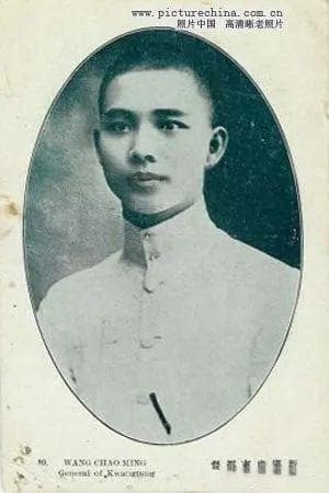 汪兆铭艳电前后