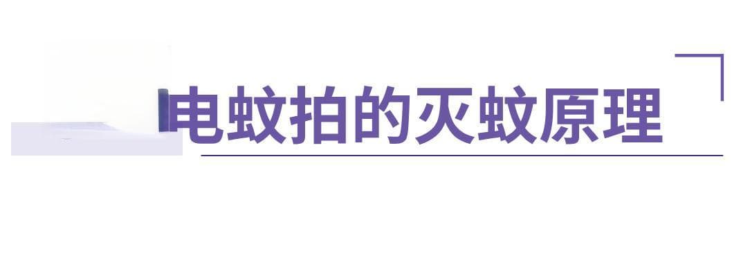 几千伏的电蚊拍能“击毙”蚊子，为什么人摸了没事？