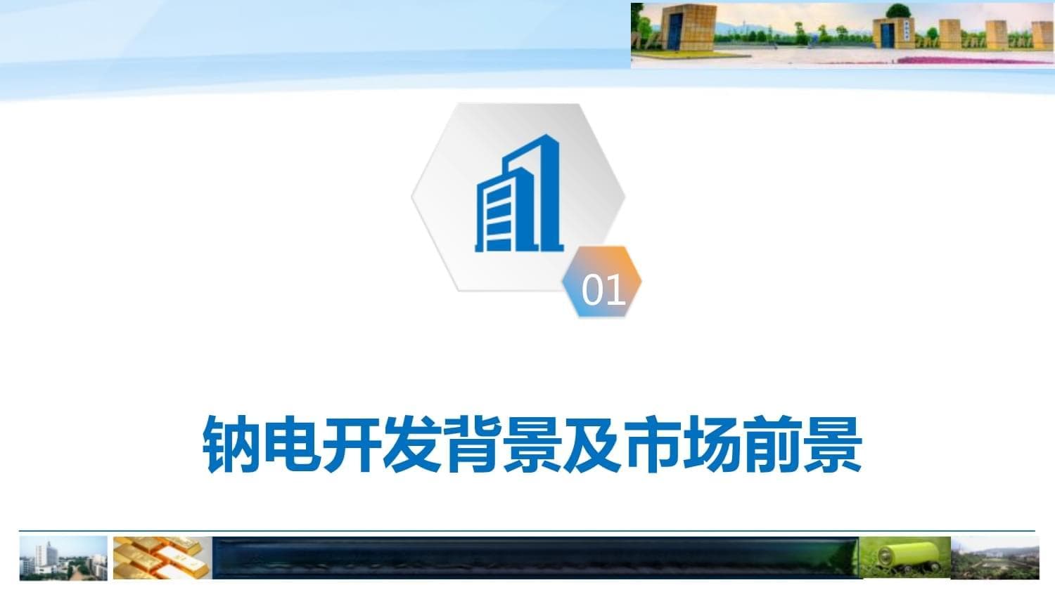 钠离子电池硬碳负极的开发