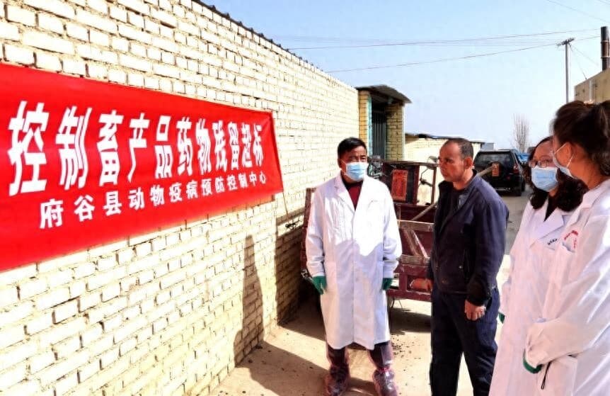 府谷县：打好动物“防疫针” 筑牢畜禽“安全网”