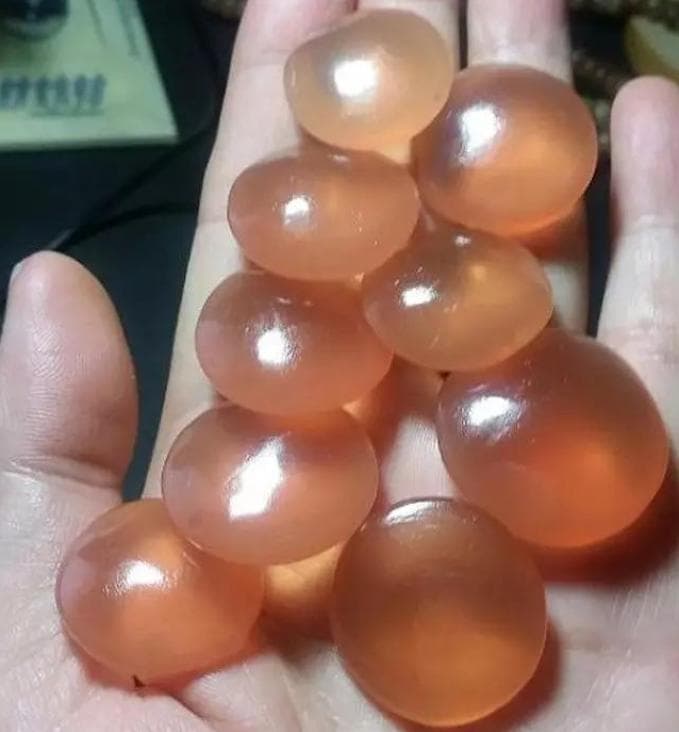 青鱼石：青鱼口里的“宝石”，比鱼肉还要值钱，遇到了别不懂