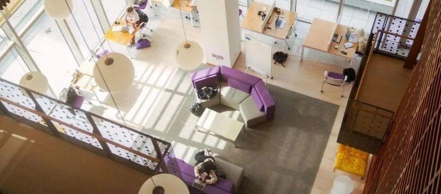 2024最新盘点中外合作办学项目｜学院｜高校