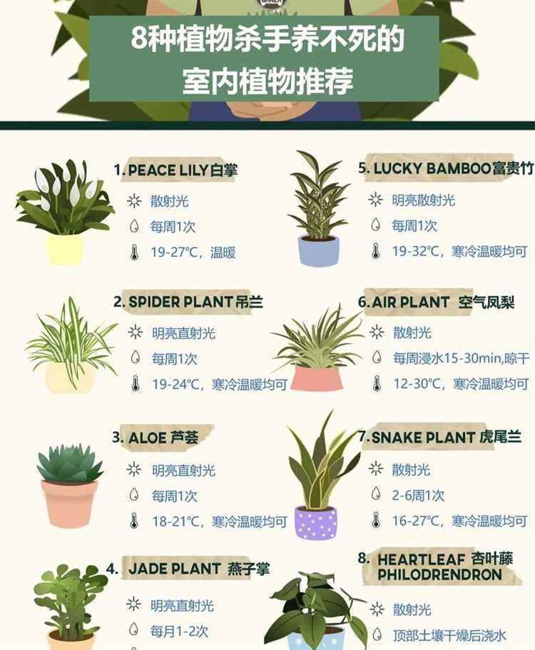 提高室内空气质量的10种花卉推荐