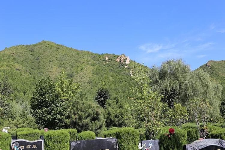 如何确保墓地维护得当？一份全面的指南