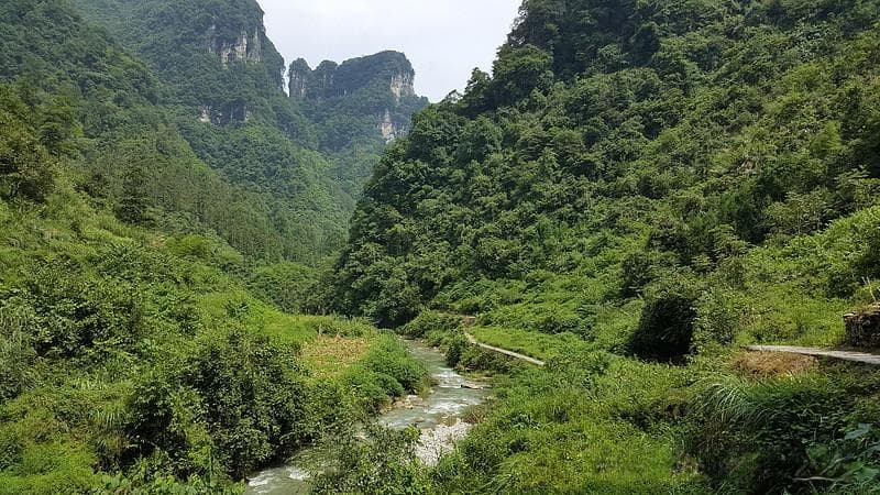 比尔·鲁安：投资四原则
