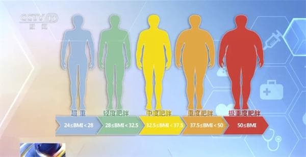 【减重指南③】反弹又重来？分级减重方案帮你科学破局