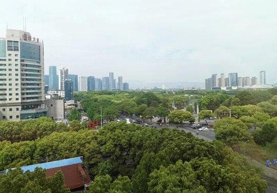 多地“争发”购房补贴！义乌豪掷8000万元，三孩家庭买房可补20万元