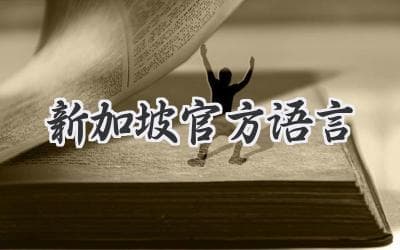 走进狮城：探秘多元文化交融的新加坡语言景观