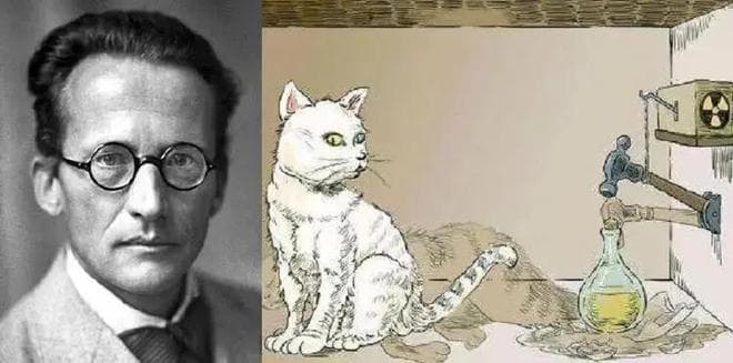 解读思想实验“薛定谔的猫”，为什么会出现“既死又活”的猫