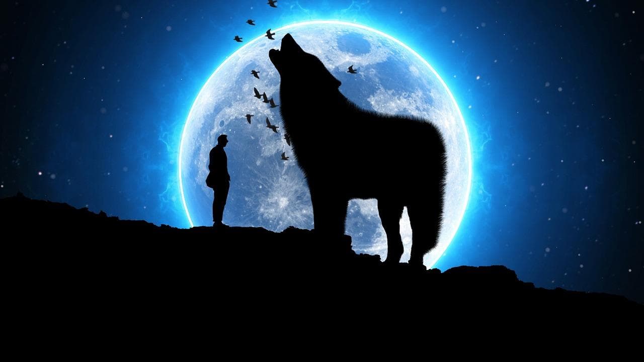 从<诗经>到唐宋：中国古代诗词中的星辰之美