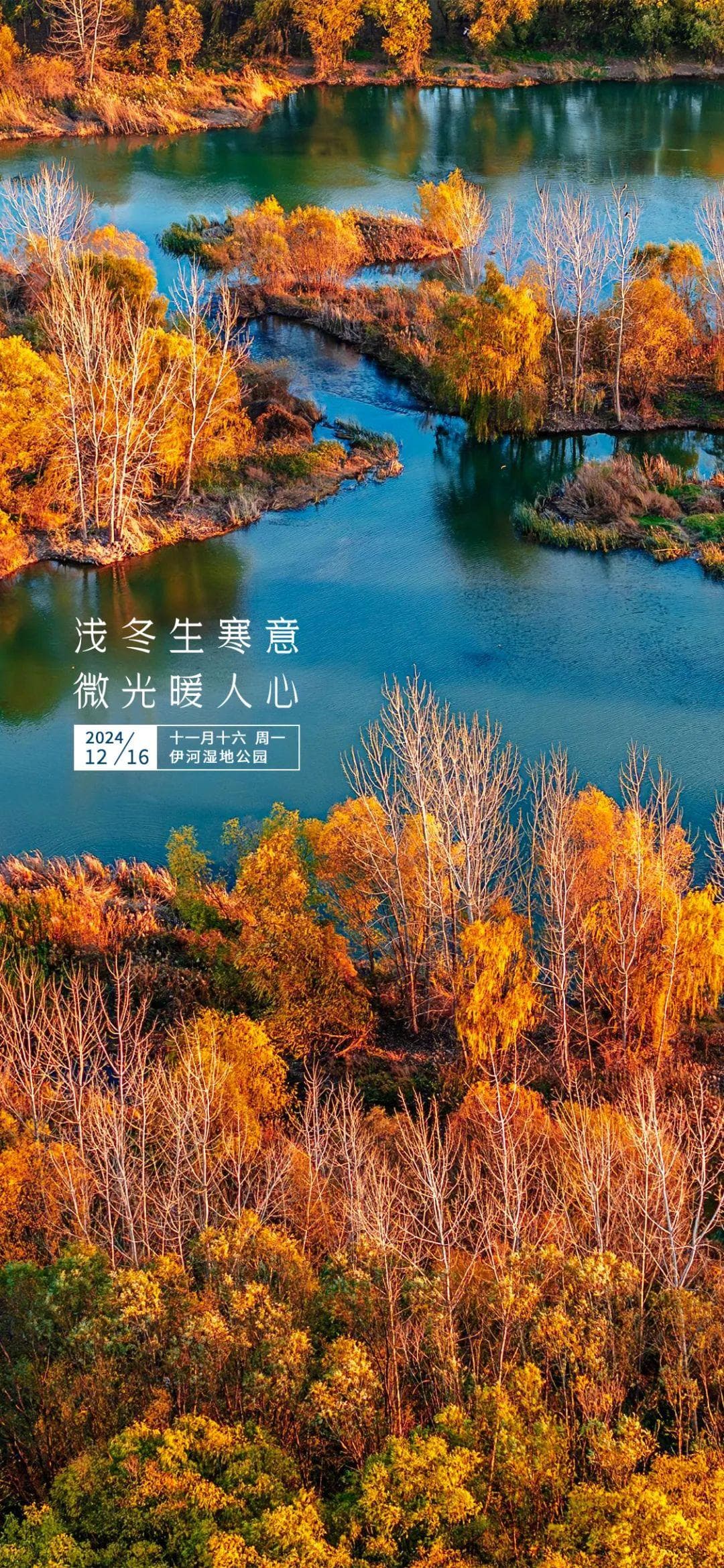 洛阳再添4家4A级旅游景区