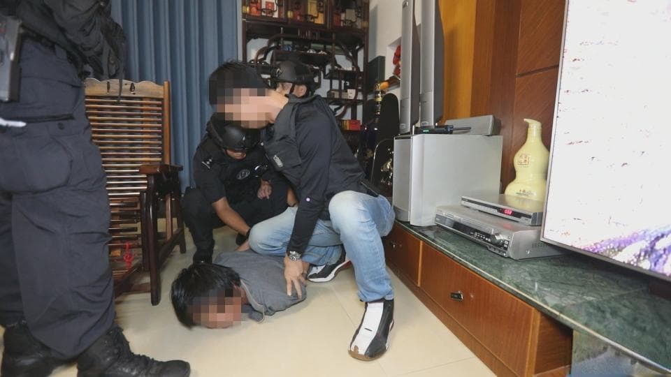 徐闻广东省海鲜，美食之旅与海洋文化的交融
