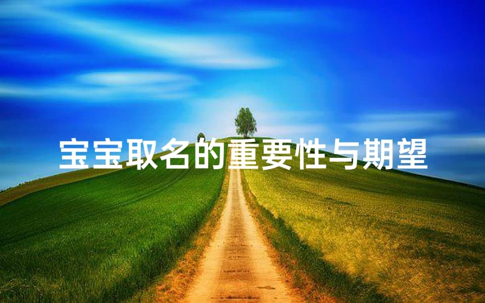 宝宝取名的重要性与期望-传统文化与现代元素的融合解析