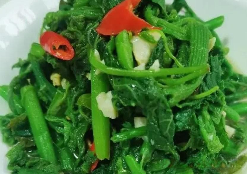 药食两用的南瓜藤：降压通便功效佳，北方人却当废品