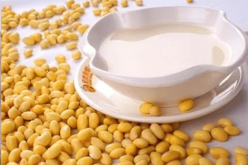 豆浆和豆奶有什么区别