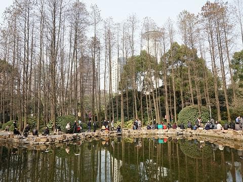 人民公园：都市中的自然与历史绿洲 🌳